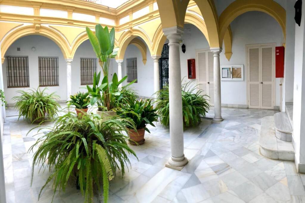 Gatu Villa Palma, Aire Acc Y Confort En El Centro Historico, " Preferente Mayores De 25 Anos Y Familias " El Puerto de Santa María Dış mekan fotoğraf