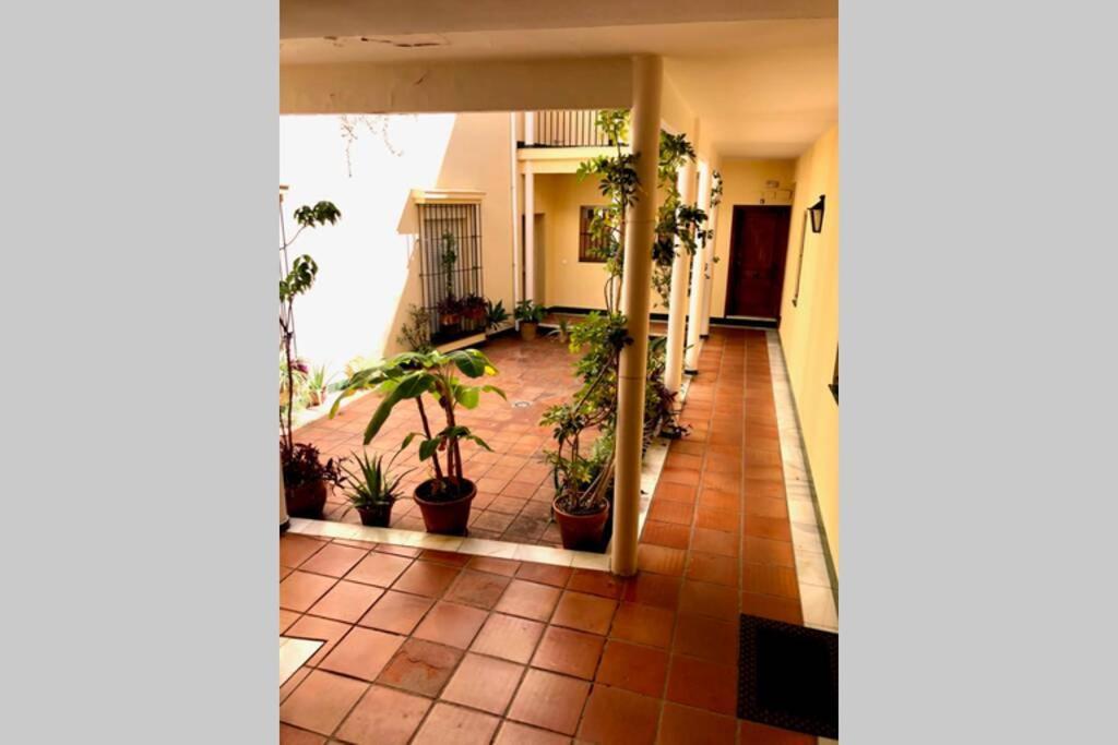 Gatu Villa Palma, Aire Acc Y Confort En El Centro Historico, " Preferente Mayores De 25 Anos Y Familias " El Puerto de Santa María Dış mekan fotoğraf